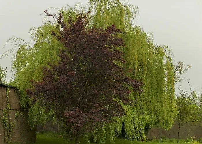 ホテル La Casona De Luis ケベダ